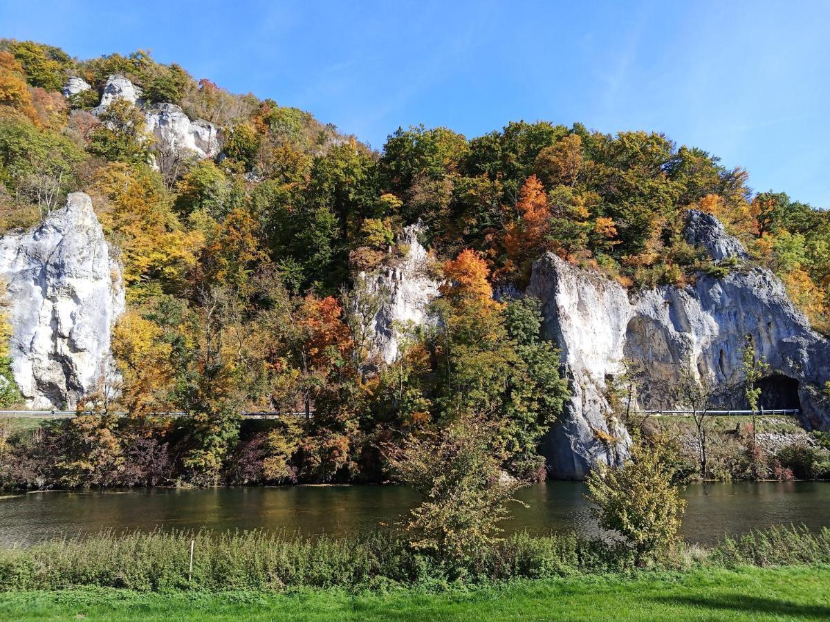 Fewo Mit Tollem Ausblick Auf Der Schwaebischen Alb. Lägenhet Wehingen Exteriör bild