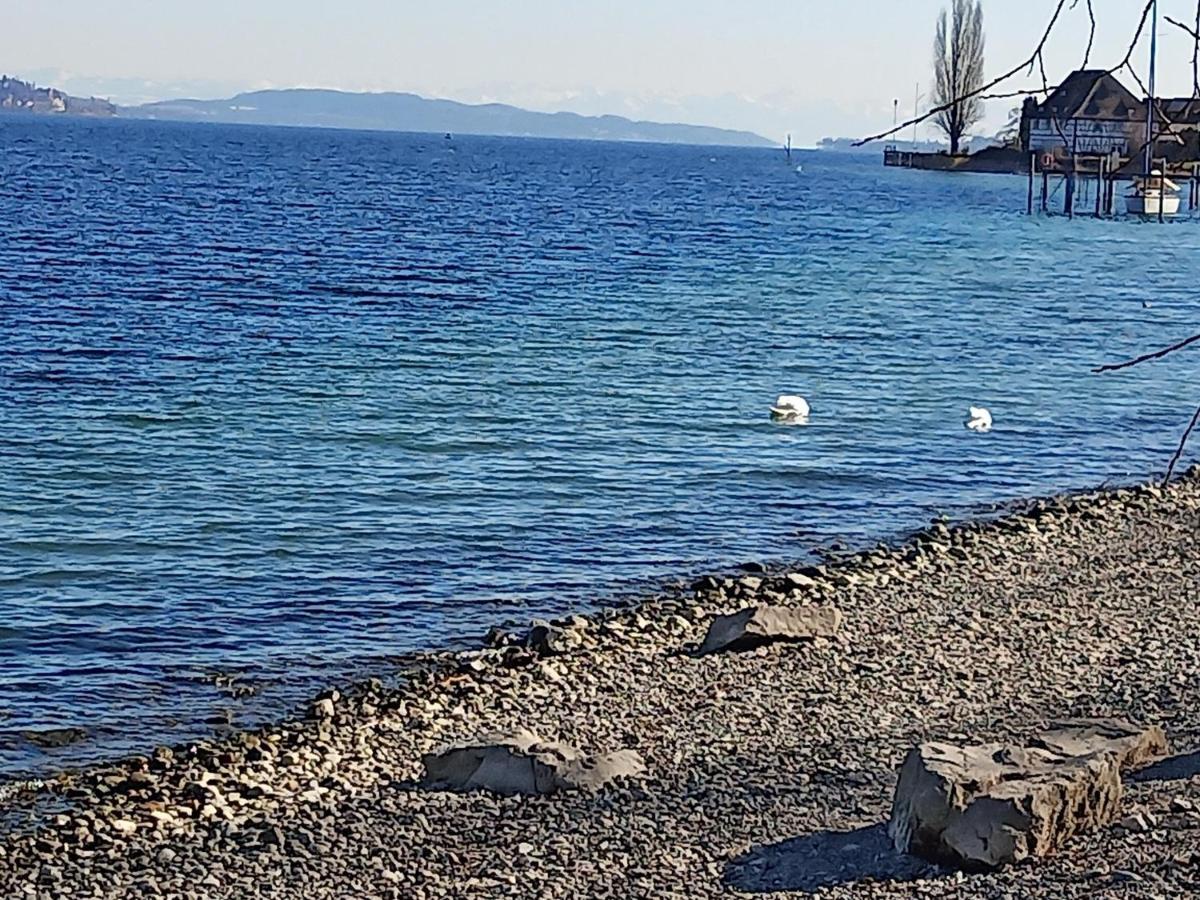 Fewo Mit Tollem Ausblick Auf Der Schwaebischen Alb. Lägenhet Wehingen Exteriör bild