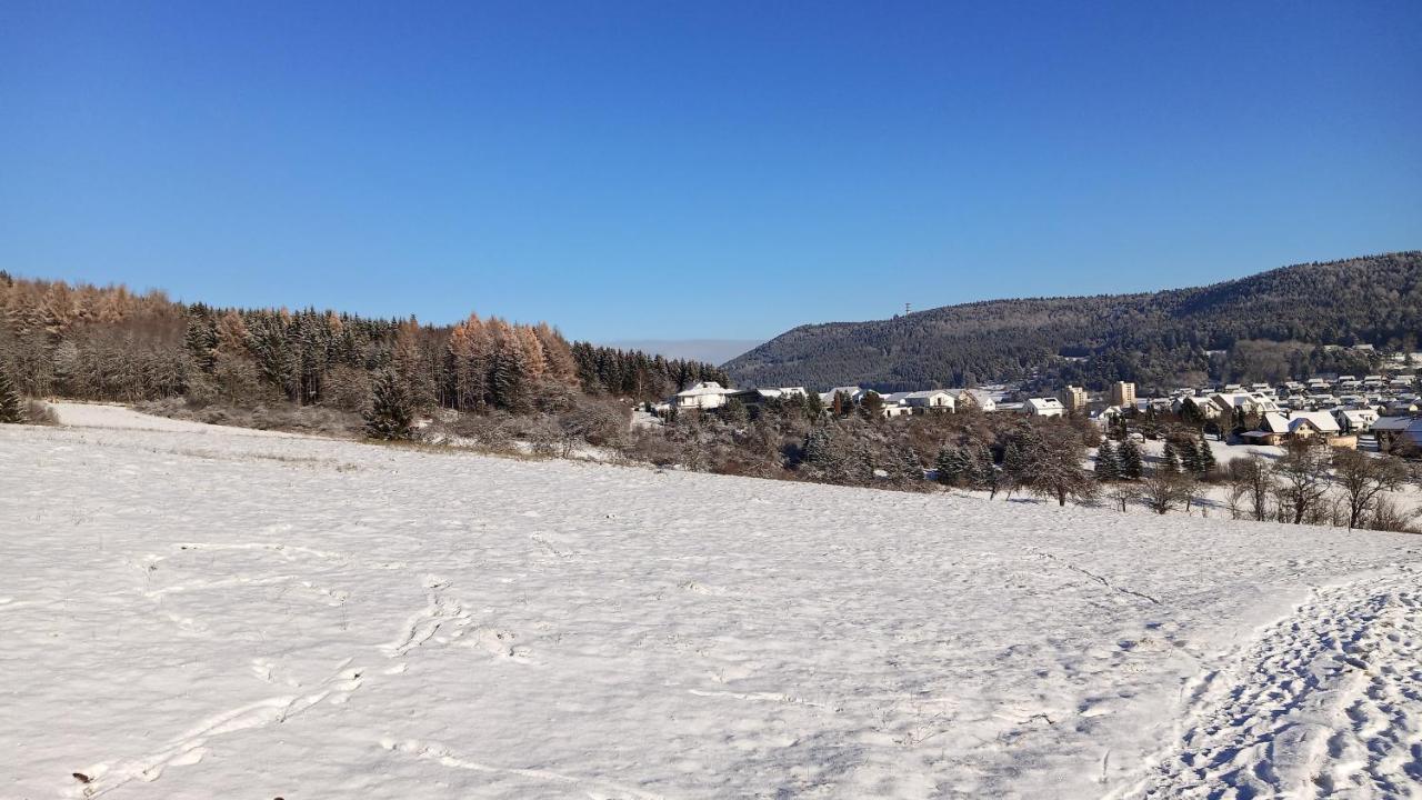 Fewo Mit Tollem Ausblick Auf Der Schwaebischen Alb. Lägenhet Wehingen Exteriör bild